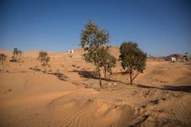 Drought and Desertification
