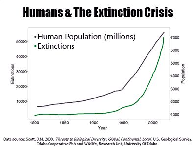 Biodiversity Bottlenecks