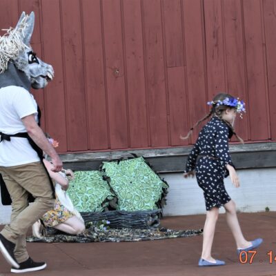 Shakespearean Dreams in Rhinebeck